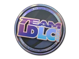 印花 | Team LDLC.
